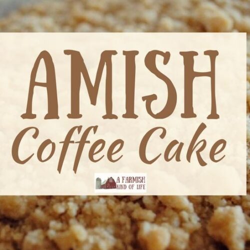 Amish Coffee Cake