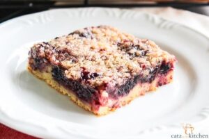 Blackberry Coffee Cake With Streusel Topping