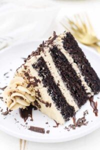 Chocolate Mocha Cake