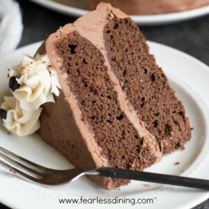 Chocolate Mocha Cake - Gf
