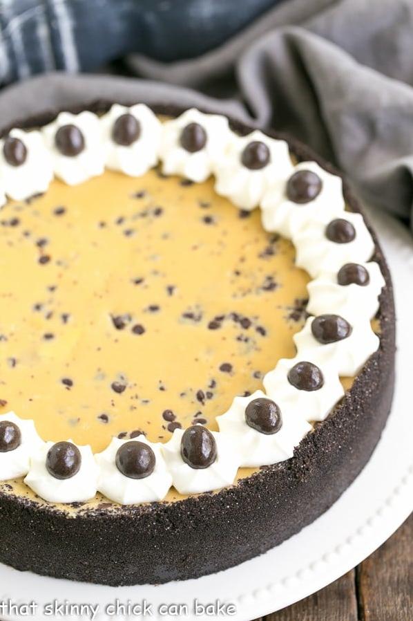  Every Bite is a Delight: Mocha Chocolate Chip Cheesecake
