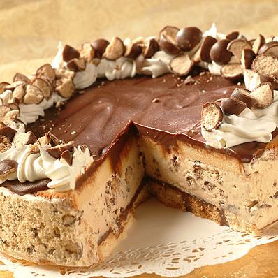 Frozen Chocolate-Covered Cappuccino Crunch Cake