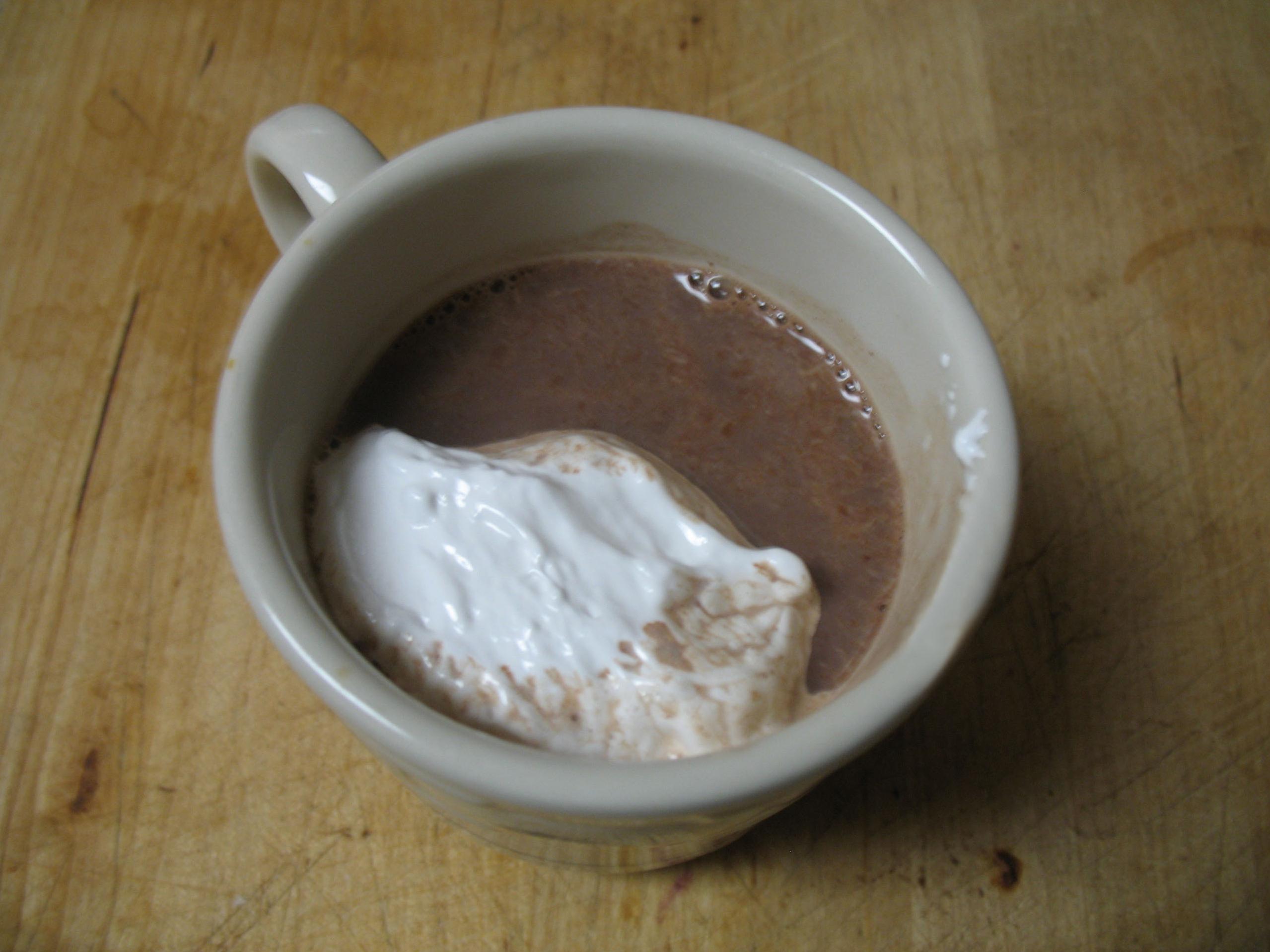  Satisfy your cravings one sip at a time with our Mocha Cocoa recipe!